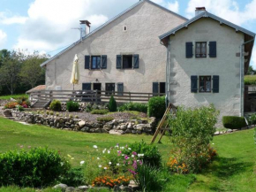 Gîte nature Vosges, animaux admis, terrasse, poêle à granulés - FR-1-583-189